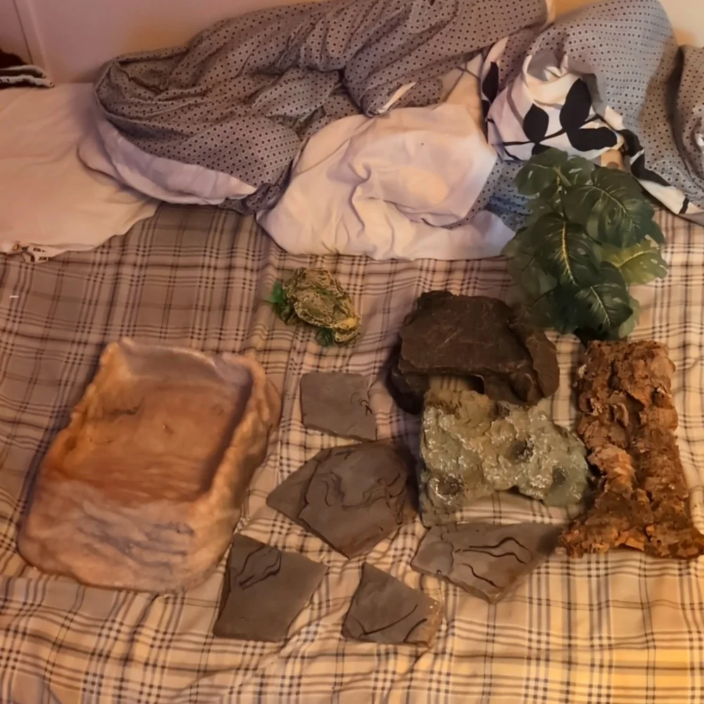 reptile supplies
